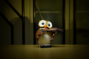 Is this for you? image